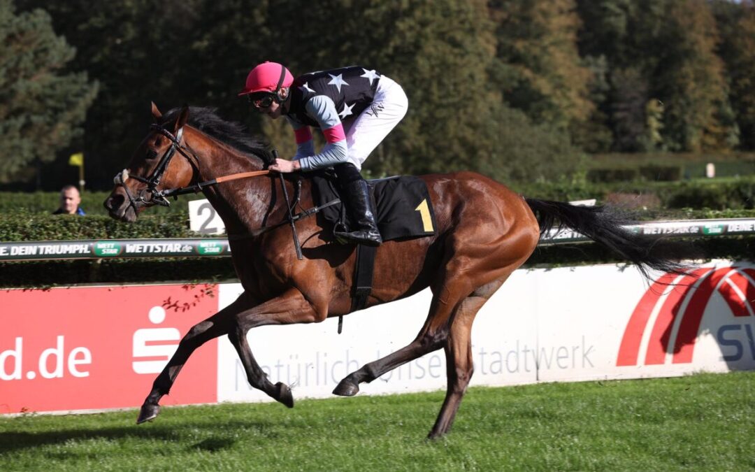 AUSGLEICH DURCH DIANTHA