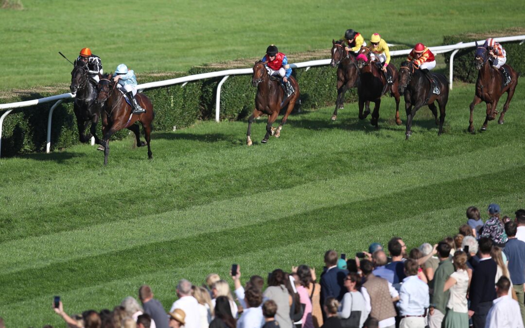 BEDINGUNGEN PASSTEN NICHT