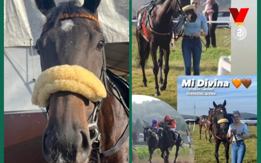 MOMENTE AUS HONZRATH