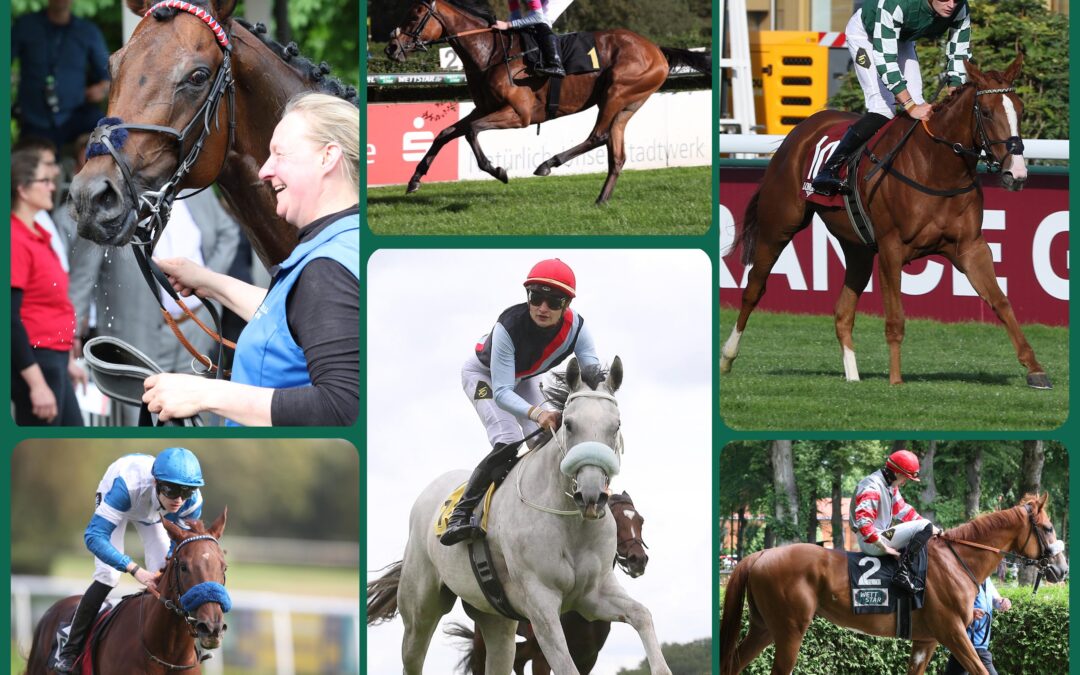 EIN GANZ “NORMALES” WOCHENENDE