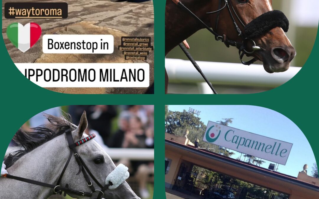 ZWISCHENSTOP IN MAILAND