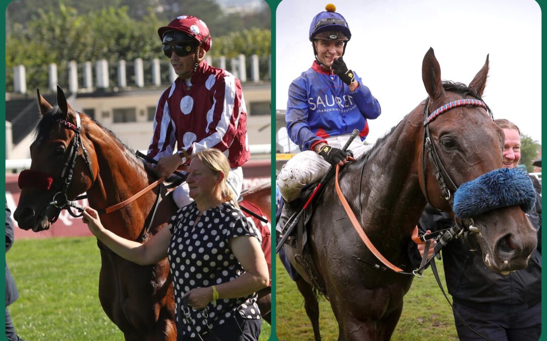 ASSISTENT OHNE HOLLYWOOD