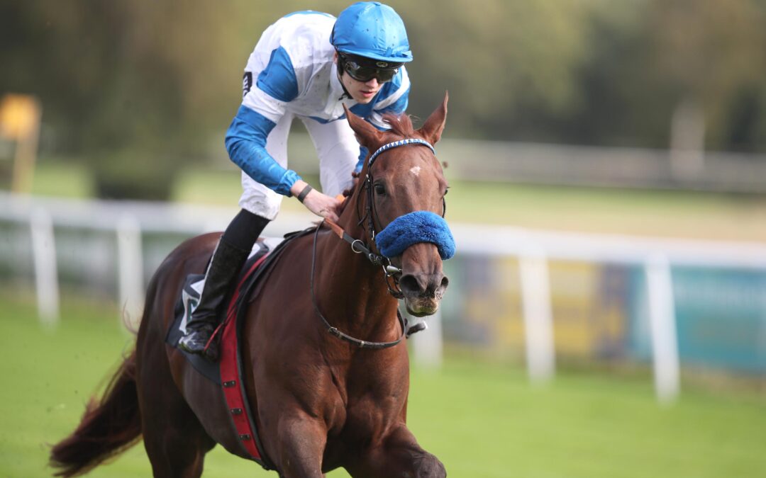 DONNA GUILIETTA GLEICH TOP