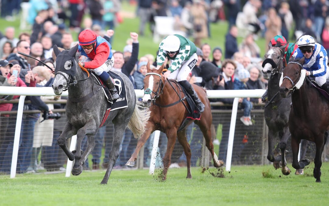 MUSKOKA UNGLÜCKLICH DRITTE