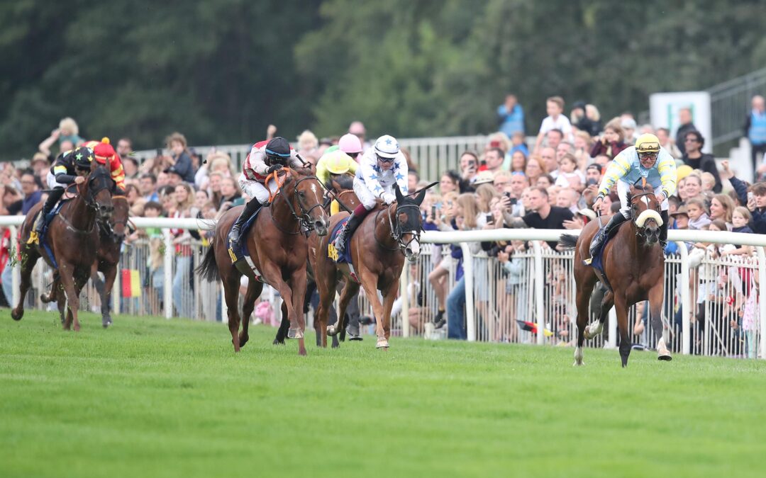 VIERTER-SECHSTER IM BBAG
