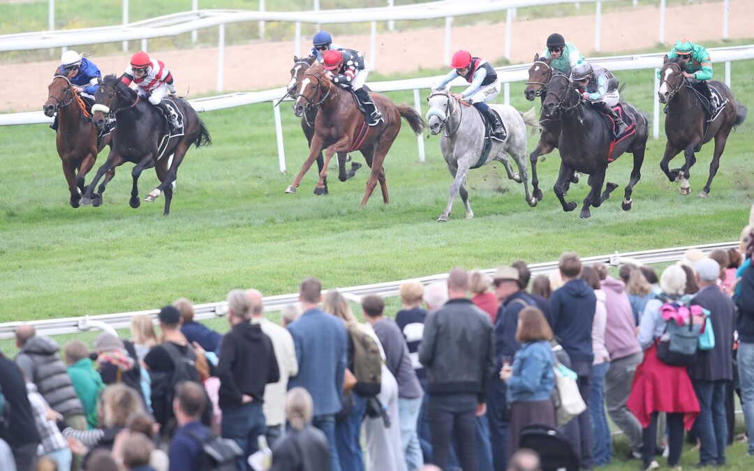 AUCH PALATINA WIRD DRITTE