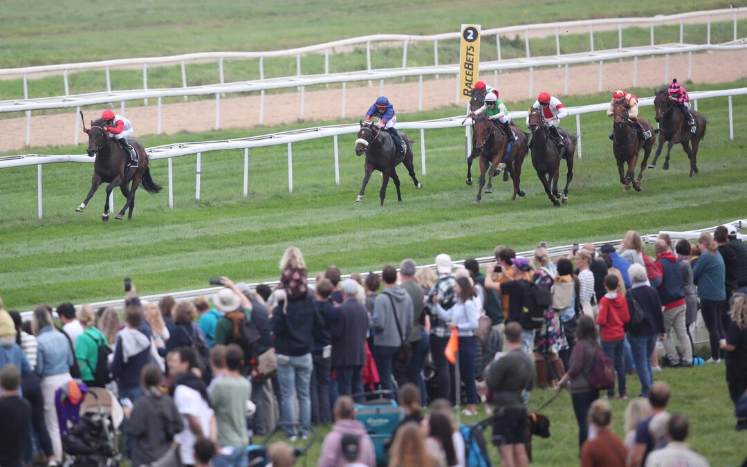 DRITTER IM WINTERFAVORITEN