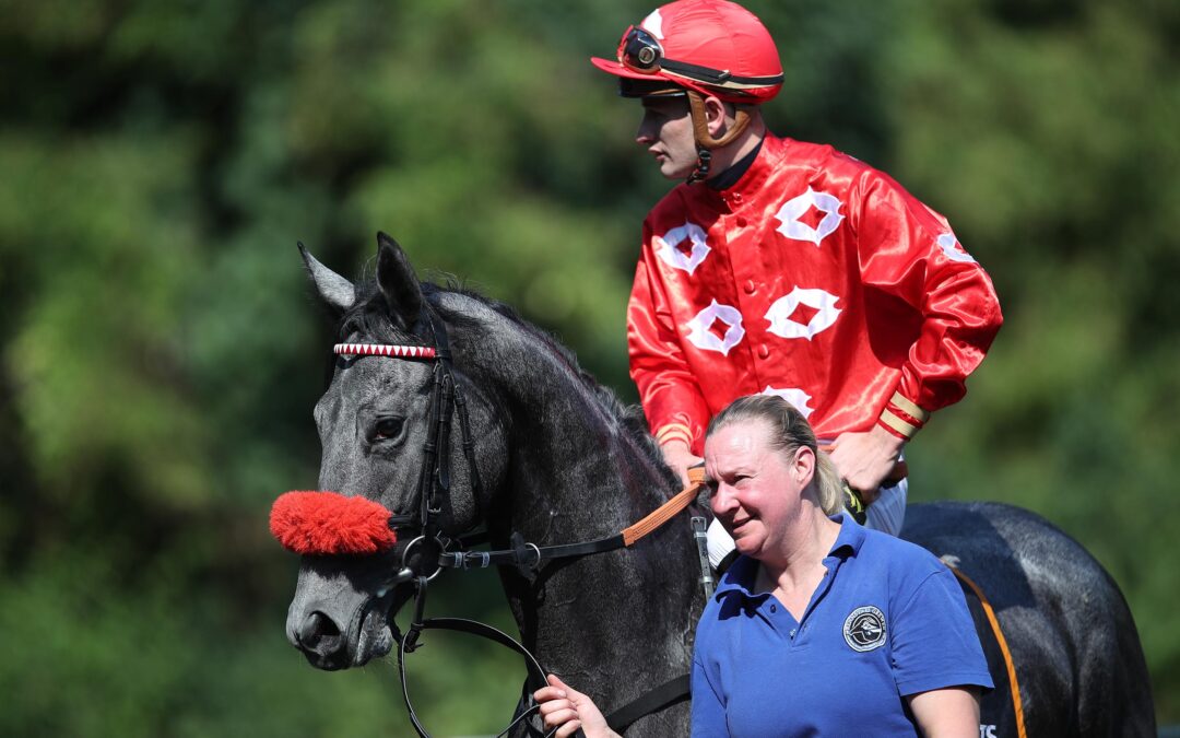 FOLGETREFFER IM BLICK