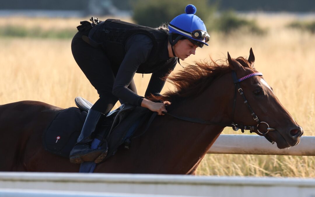 ERSTMALS IN NEUEN FARBEN