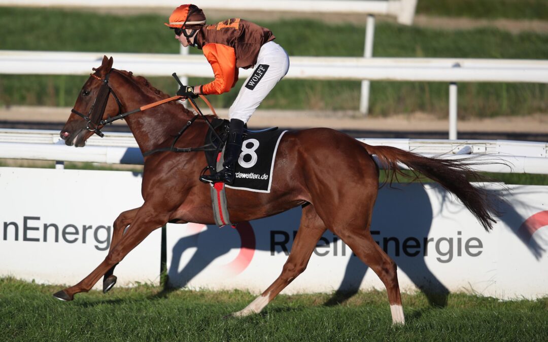 SIEGFORM NICHT BESTÄTIGT