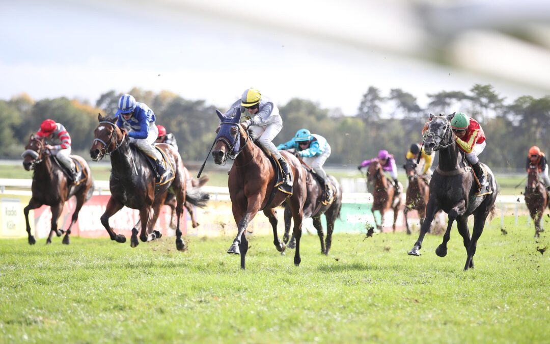 ZU “SCHWER” ANGETROFFEN