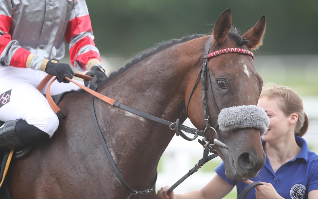 PLATZGELD FÜR MISTER A