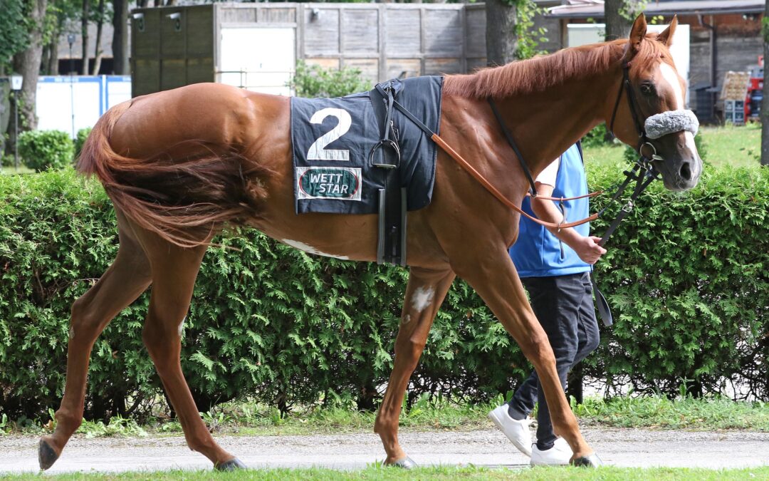 UNTER WERT GESCHLAGEN