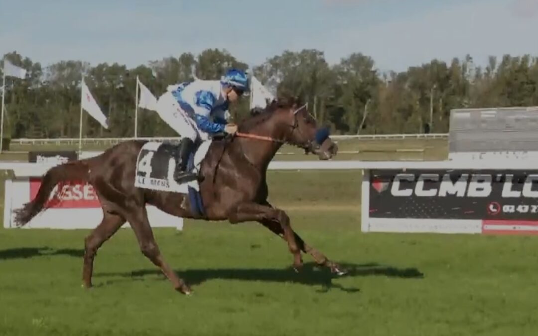 GEWONNEN DANN GECLAIMT