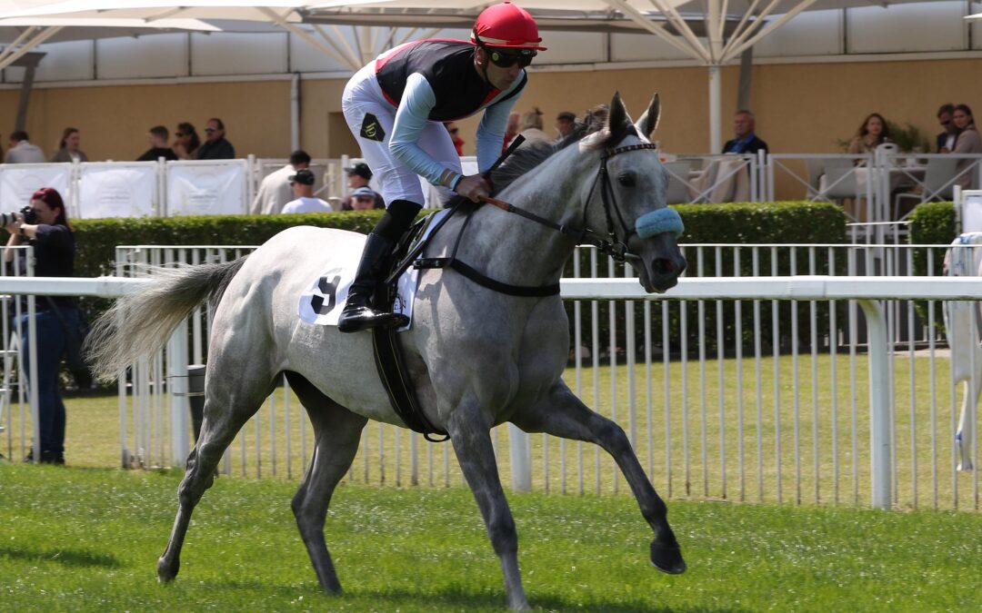 DIESMAL LEICHTER ALS ROM