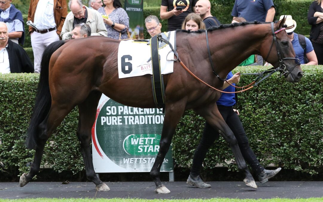 EX FÜNFTER IN NANTES LR