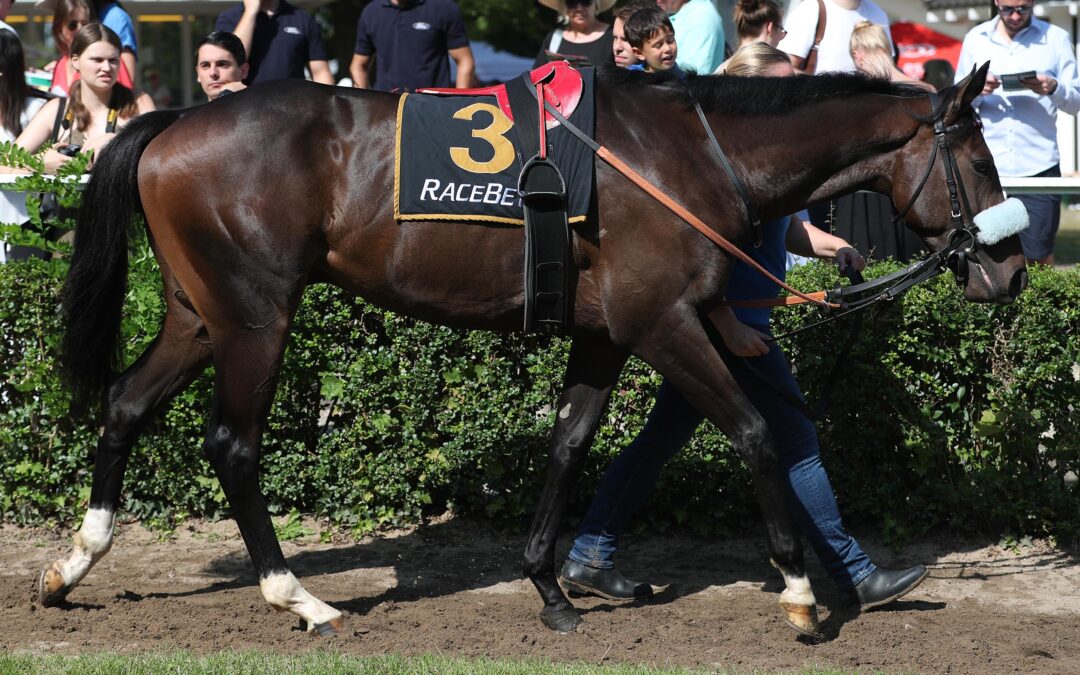 KEINE MAGIE AUF TIEFER BAHN