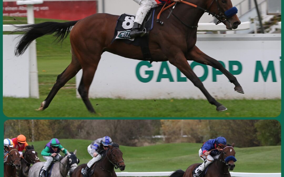 TRUE VALUE GLEICH TOP