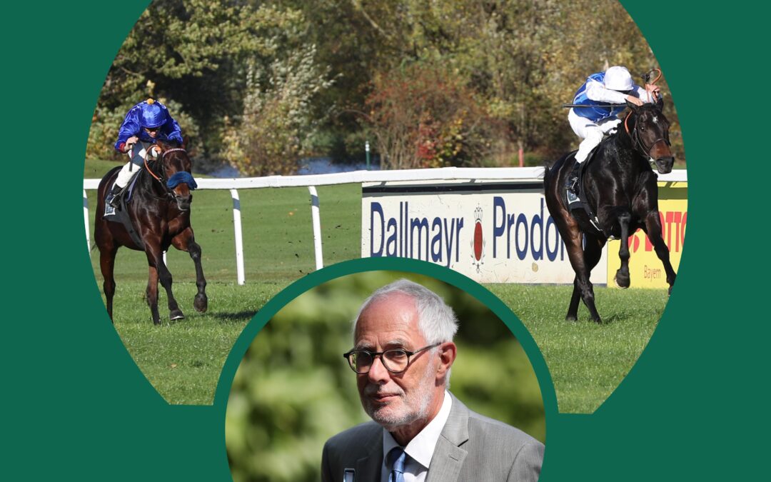 NEUTRALE SICHT DER DINGE