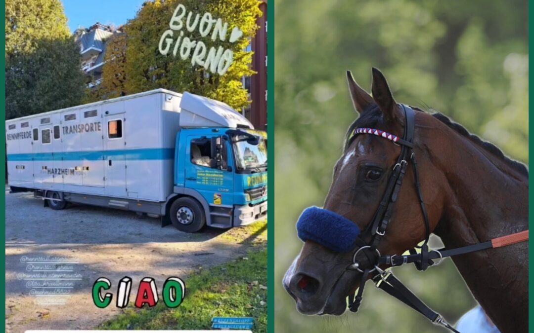 Ben arrivati a Milano