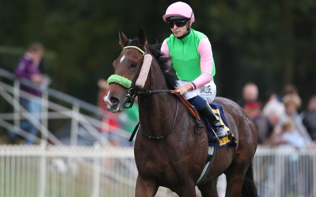 GUTE CHANCE IN CROISE