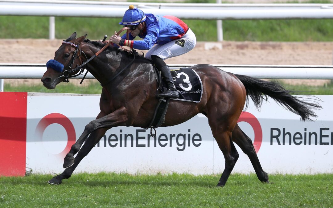 FAVORIT RAUS – NUR NOCH VIER