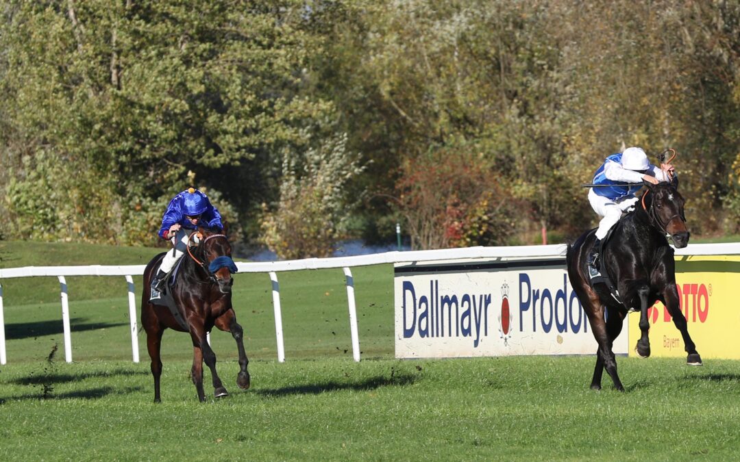 BÄRENSTARKER ZWEITER