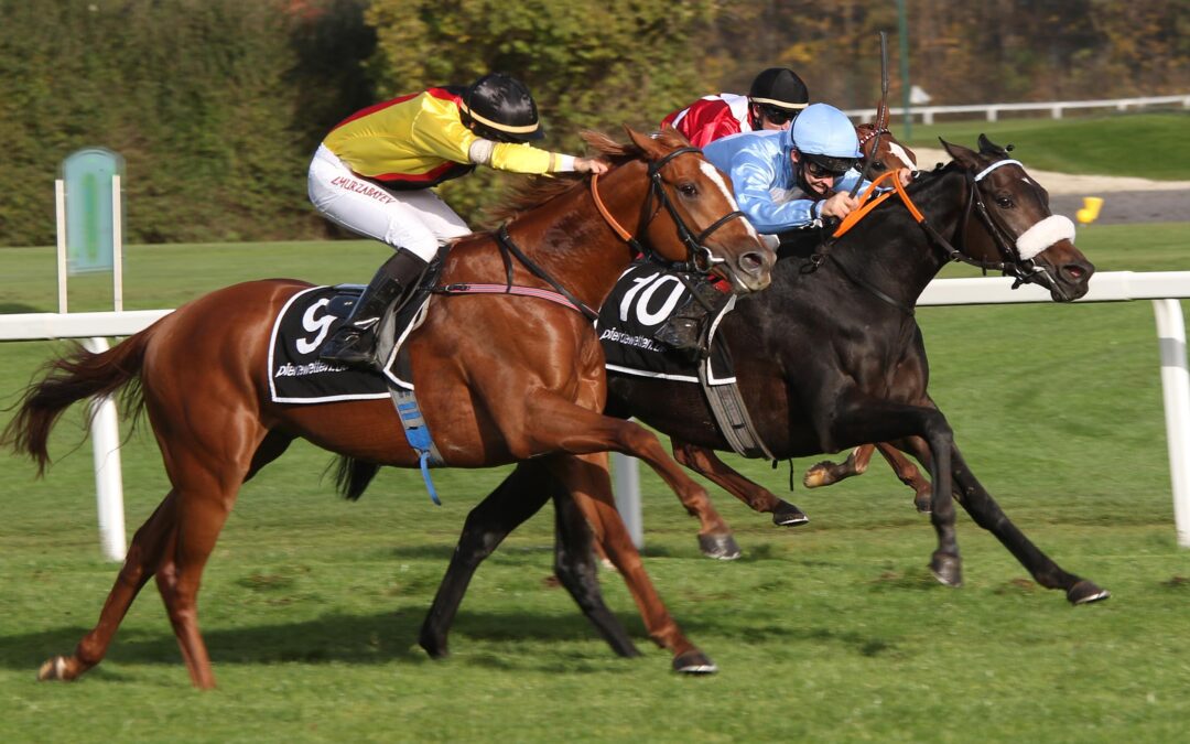 WIE IM NOVEMBER 2020 ?