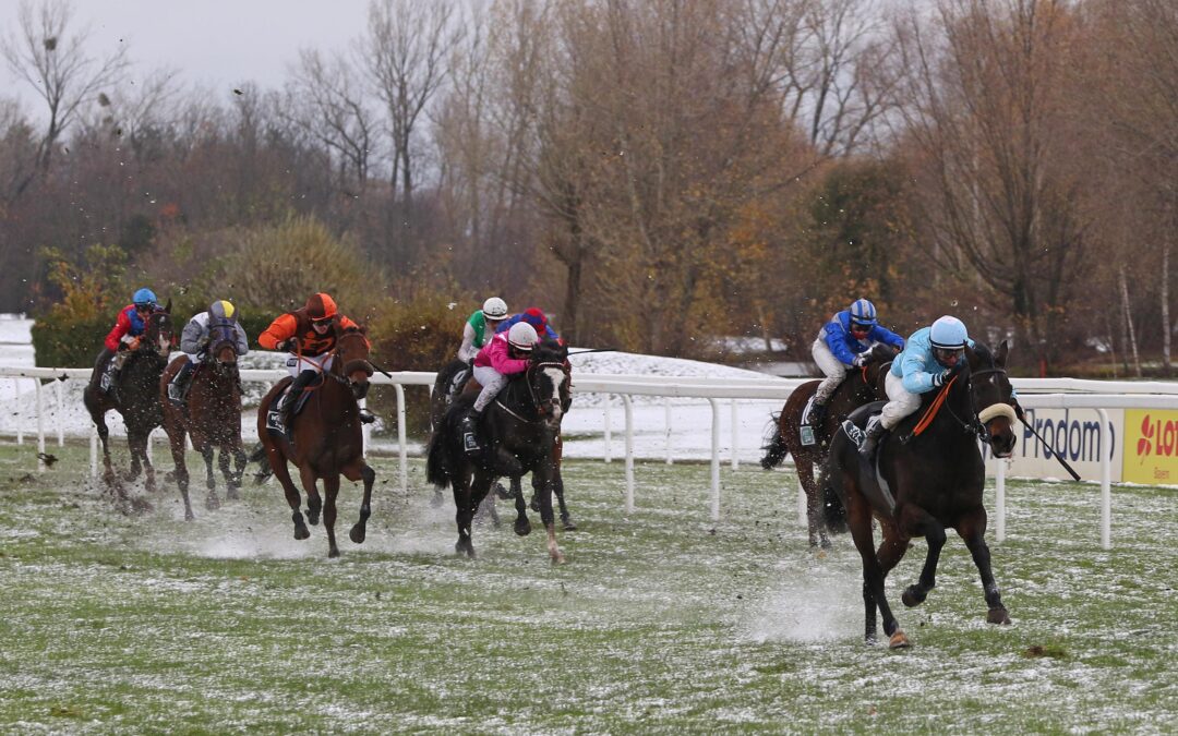 DIESER BODEN PASSTE NICHT