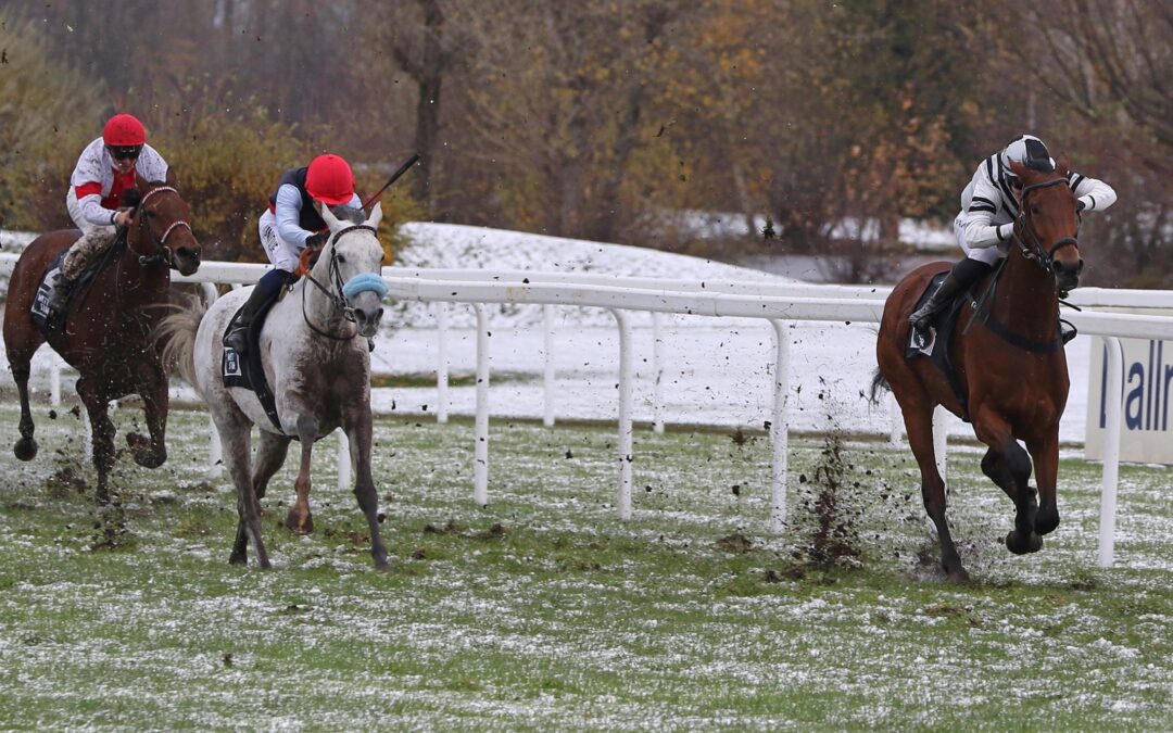 ERSTES KARRIERE BLACKTYPE