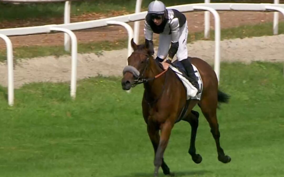 CHANCE IN STRASBOURG