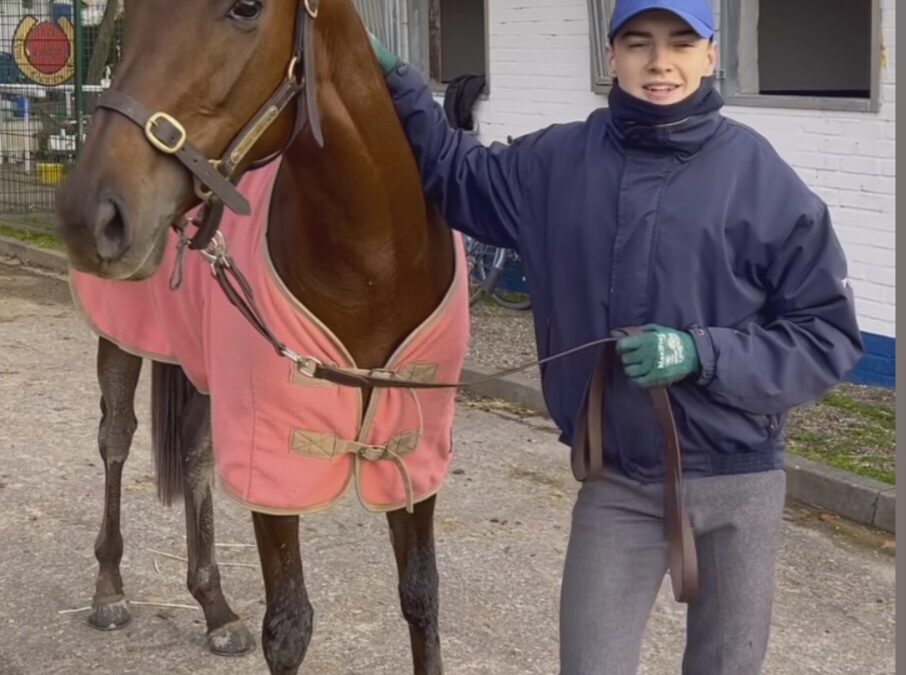 DAS SAGT DER NEUE ALTE