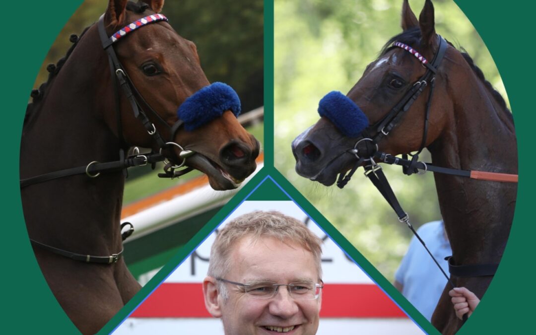 DUO ZUR DEAUVILLE VENTE