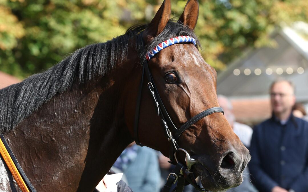 ZWEITER UND FÜNFTE IM BBAG