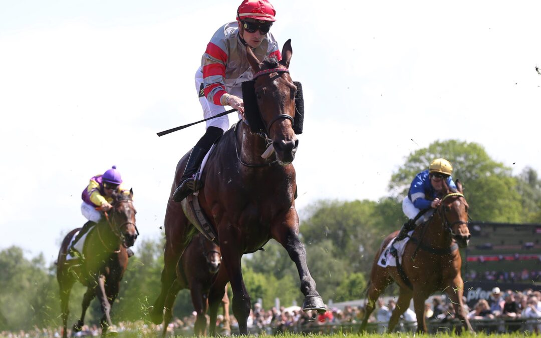 SANDDEBUT VON MR. H.