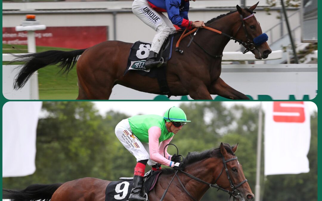 WIEDER NACH DEAUVILLE