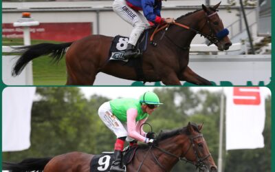 WIEDER NACH DEAUVILLE