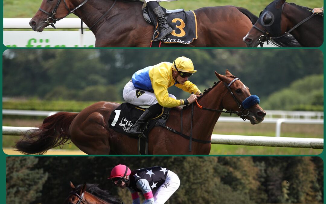 STARKES TRIO IM BBAG