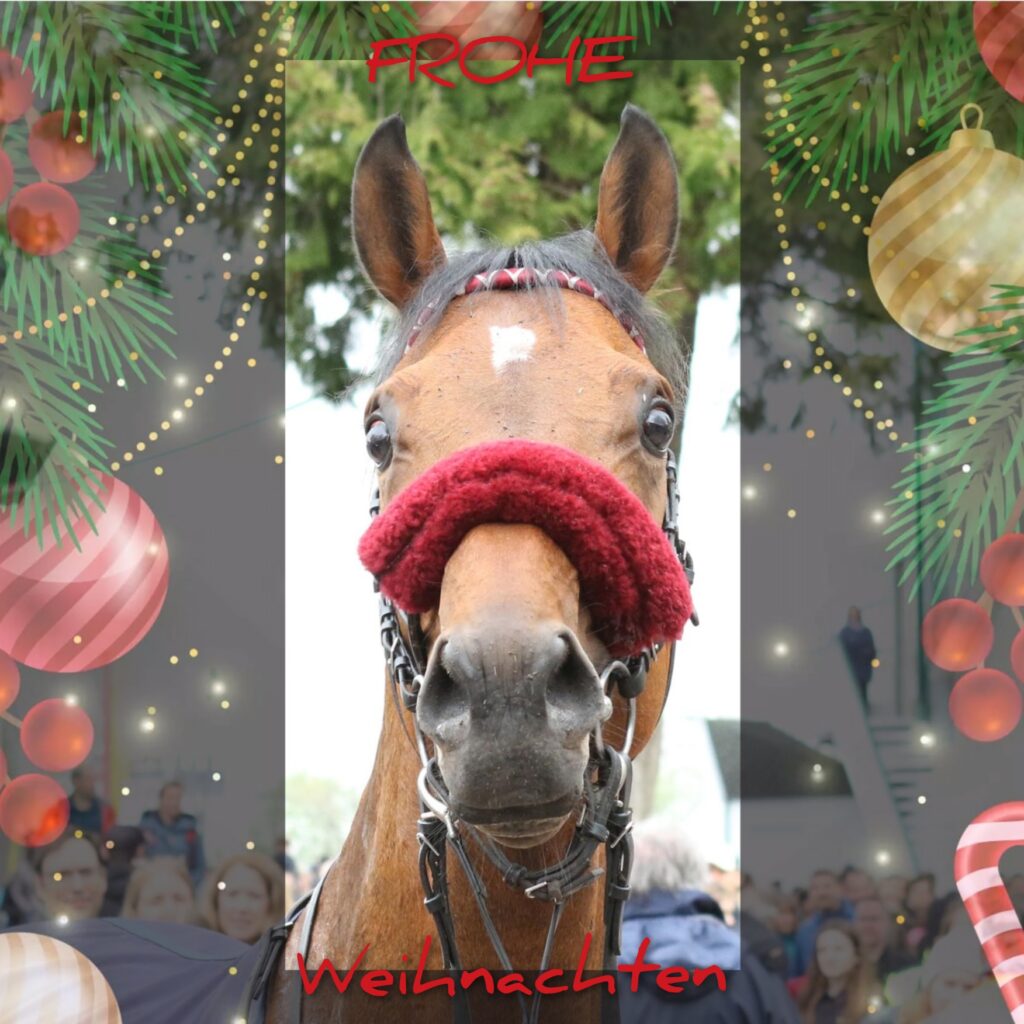 FROHE WEIHNACHTEN