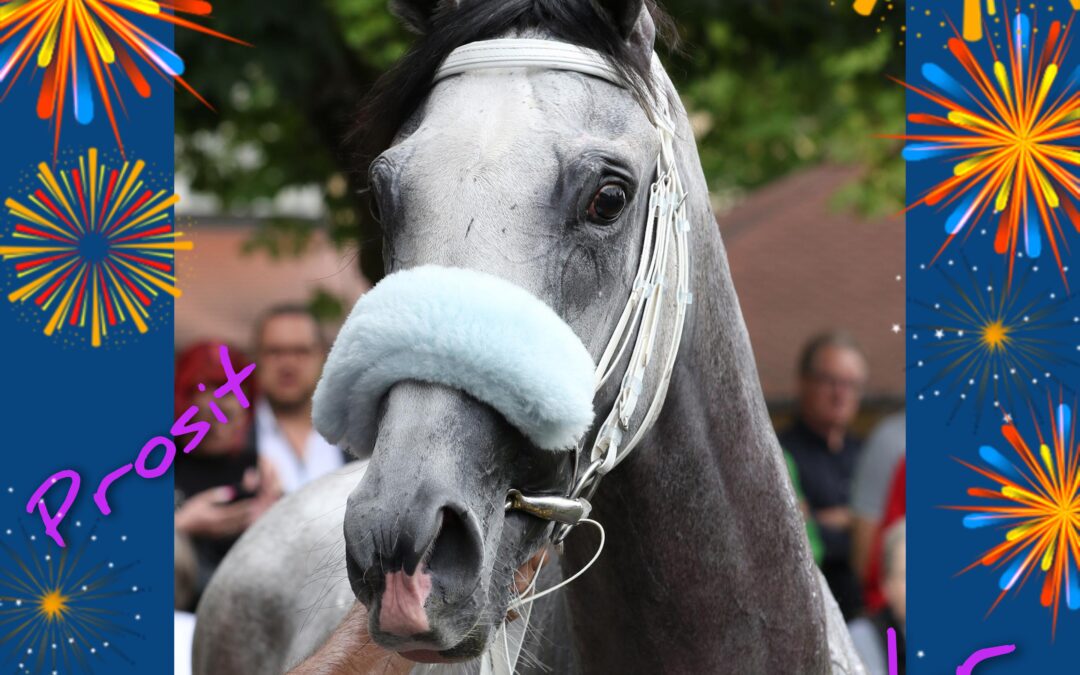 FROHES NEUES JAHR 2024