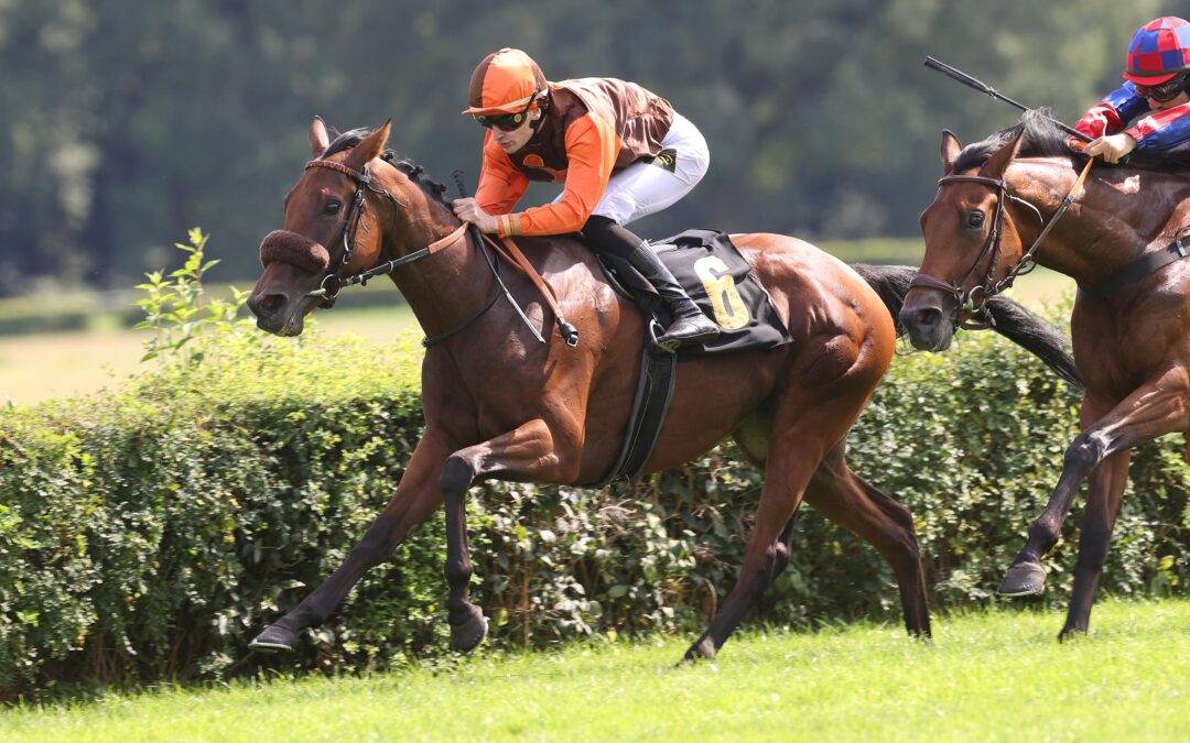 HOFFEN AUF DEN “KICK” IM SAND