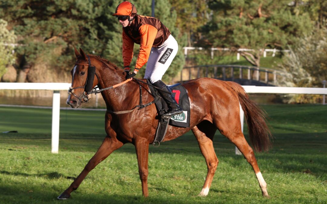 SATURDAY AM DIENSTAG