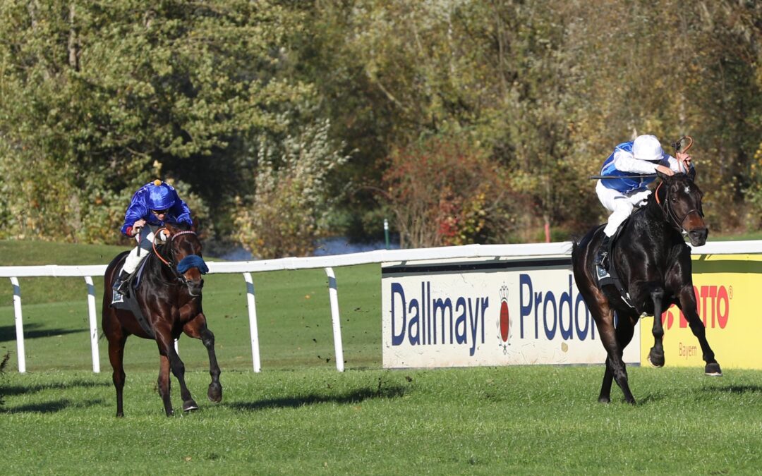 FORM RIESIG AUFGEWERTET