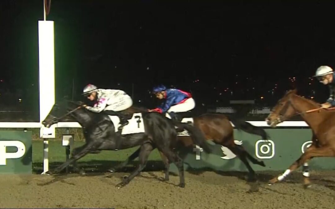 GUTER SECHSTER PLATZ