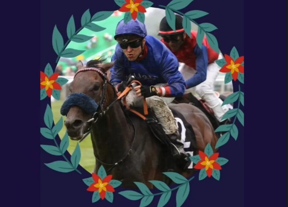 TÜR 14 MIT TOLLEN MEMORYS