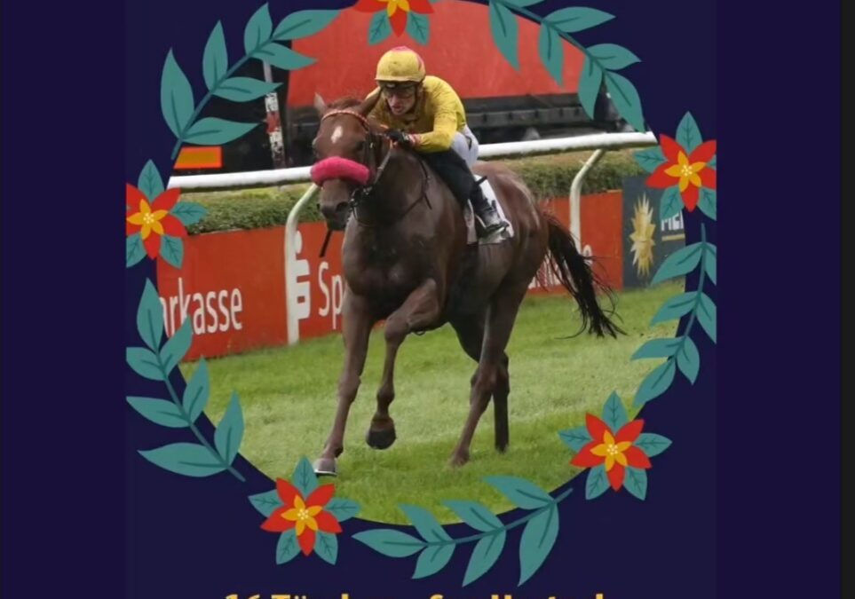 TÜRCHEN 16 – TOLL WAR’S