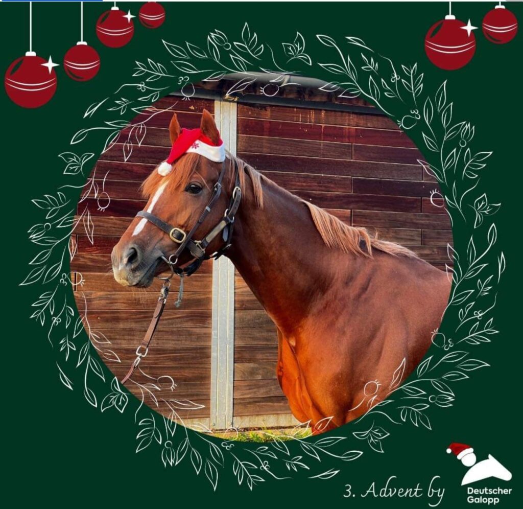 RÄTSEL ZUM 3. ADVENT