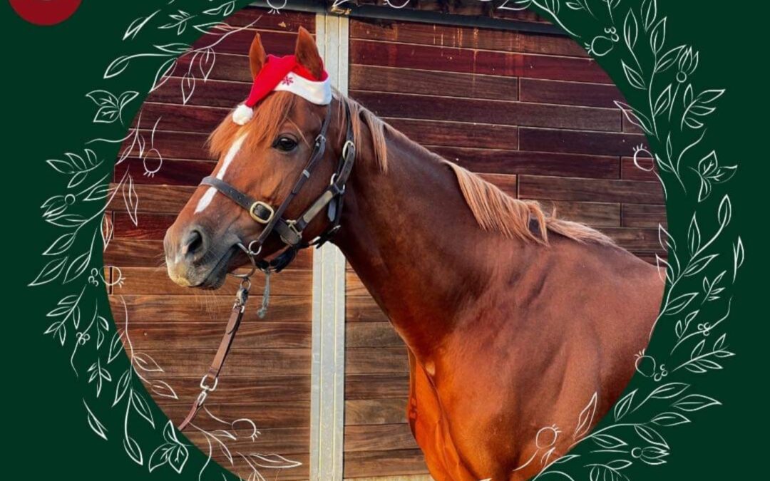 RÄTSEL ZUM 3. ADVENT