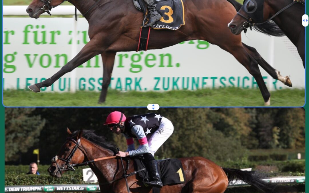 FINALE ATTACKE MIT VIER