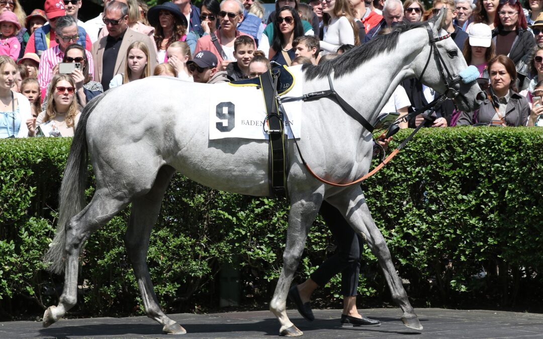 NICHT LEICHT AN DER COTE